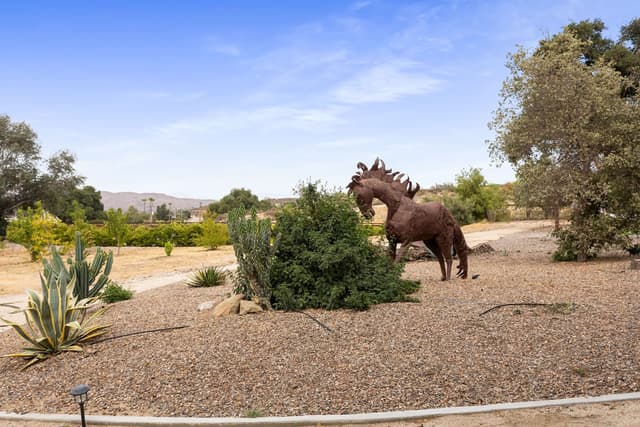 Old West Temecula Landscape Horse