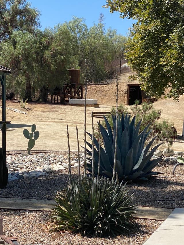 Old West Temecula View of Gold Mine