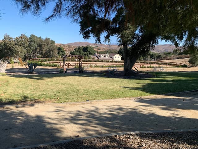 Old West Temecula Grass Lawn and Oak Trees